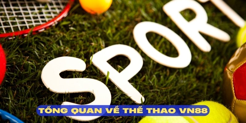 Sảnh thể thao VN88 mang đến nhiều dịch vụ chất lượng